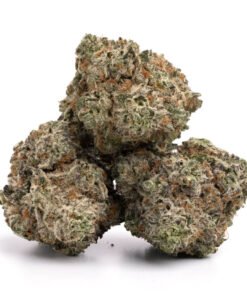 White Widow-Sorte