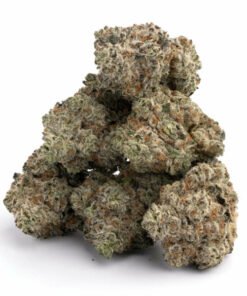 White Widow-Sorte