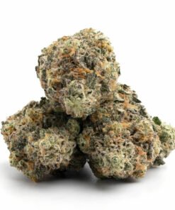 Apple Fritter-Gras