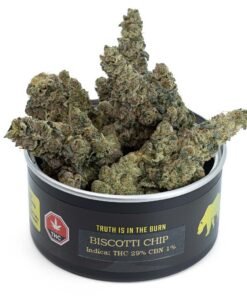 BISCOTTI CHIP Gras