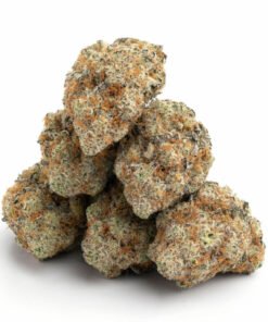 ACDC Gras