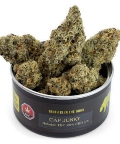 CAP JUNKY Gras