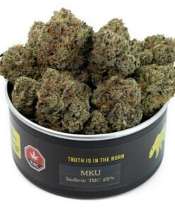 MK ULTRA Gras